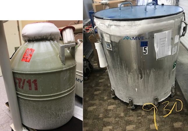 氣相儲(chǔ)存型